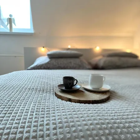 Apartment Damjan Karlsbad